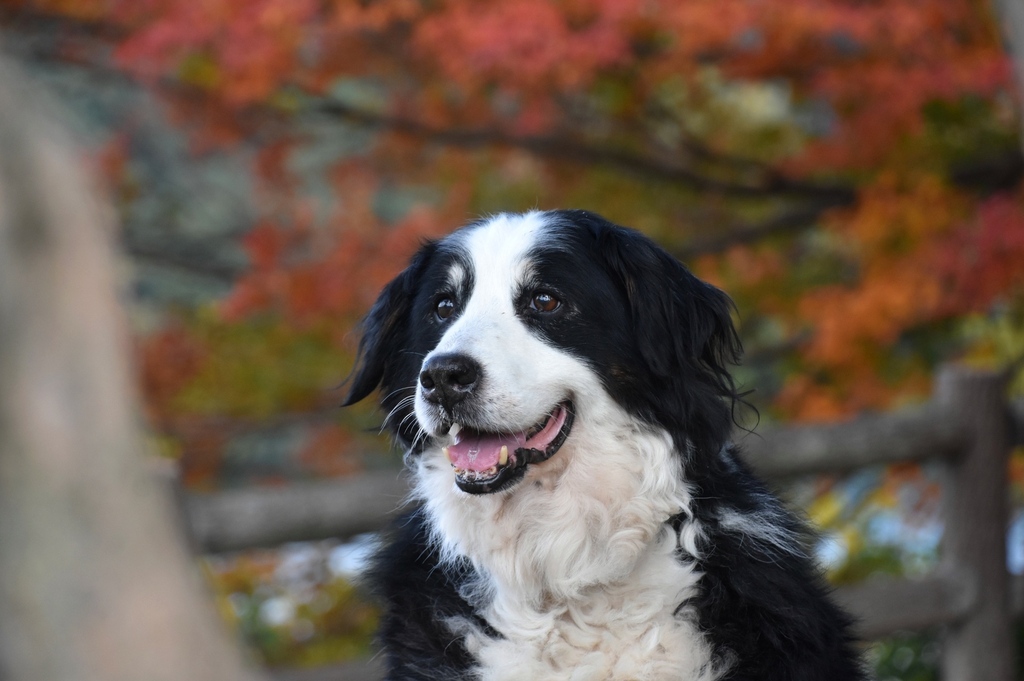DSC_8032.JPG