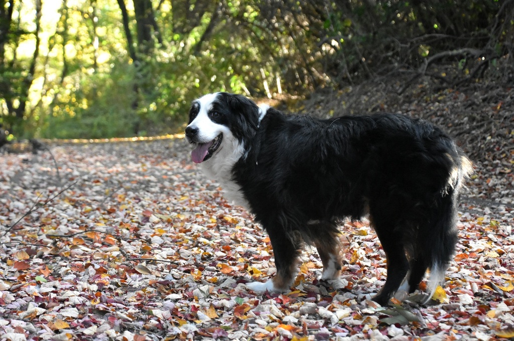 DSC_8222.JPG