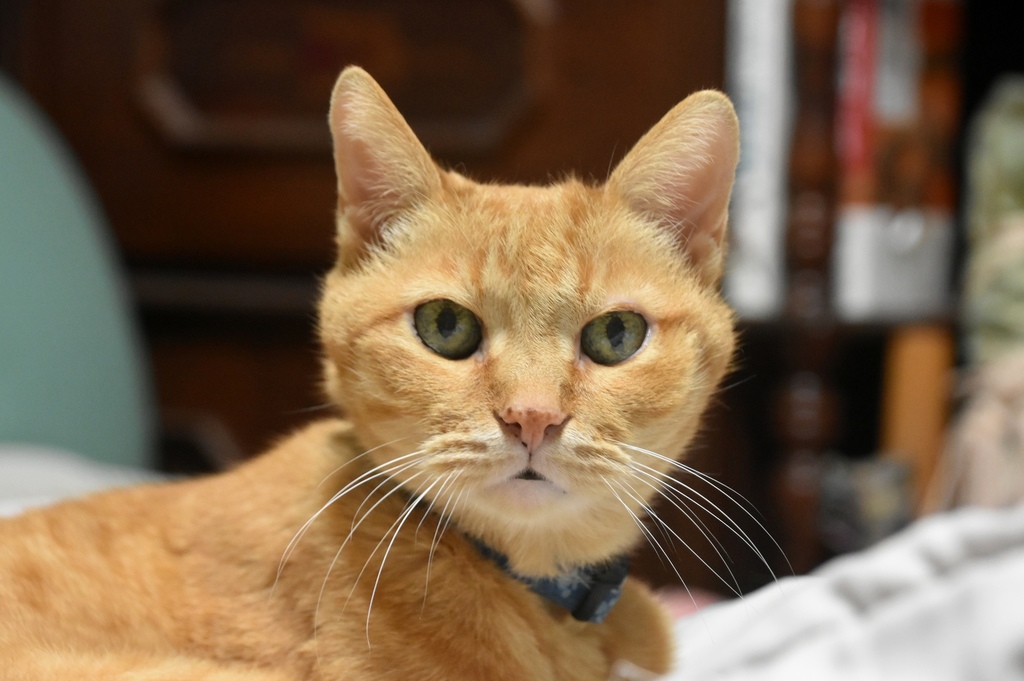 DSC_9862.JPG